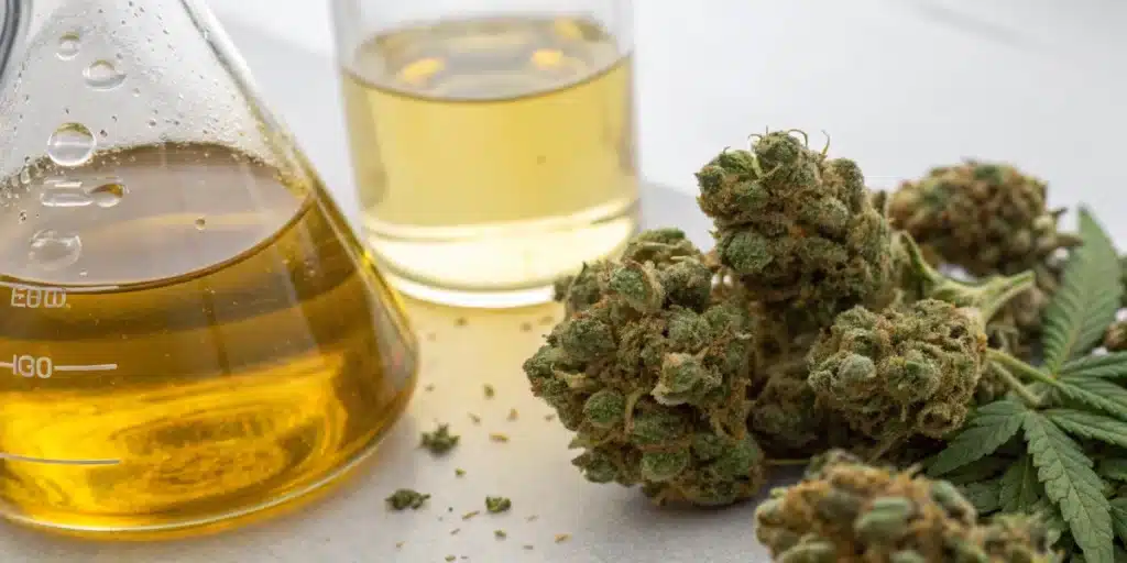 Close-up view of ethanol cannabis extraction with cannabis buds submerged in ethanol, illustrating detailed liquid and plant textures.