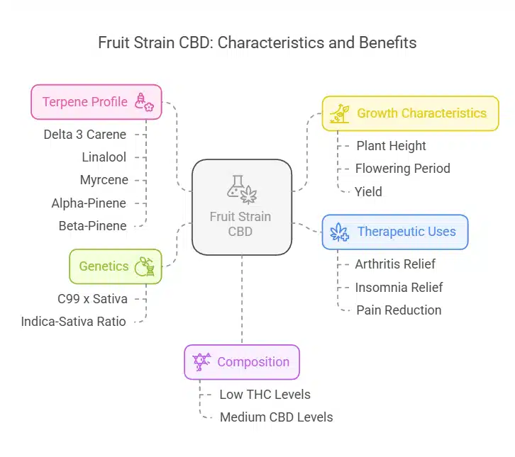 Fruit Strain CBD characteristics infographic highlighting growth, terpene profile, genetics, therapeutic uses, and composition
