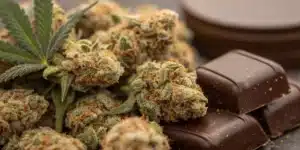 Dense Chocolate Fondue Weed Strain buds covered in frosty trichomes, displayed alongside dark chocolate pieces, emphasizing its rich aroma