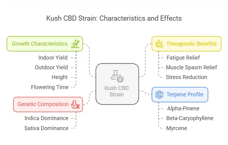 Diagram detailing Kush CBD strain traits, including growth characteristics, genetic composition, therapeutic benefits, and terpene profile