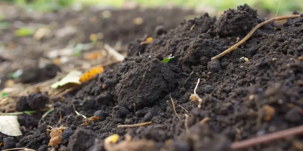 Close-up of nutrient-rich organic soil, representing the best soil for autoflowers outdoor.