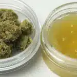 Clear container of cannabis buds next to a jar of golden THCV or THC concentrate, on a white surface.
