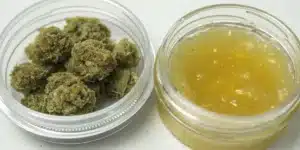 Clear container of cannabis buds next to a jar of golden THCV or THC concentrate, on a white surface.