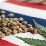 Cannabis seeds and a hemp leaf placed on a Thai flag, symbolizing legalization and cultivation.