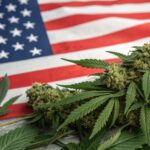 Cannabis seeds scattered on an American flag, symbolizing legalization and cultivation in the U.S.