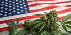 Cannabis seeds scattered on an American flag, symbolizing legalization and cultivation in the U.S.