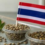 A Thai flag placed over cannabis seeds with a hemp leaf on a white surface.