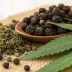 Black pepper, cloves and hemp buds highlighting b-caryophyllene terpene sources