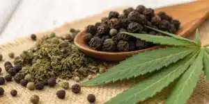 Black pepper, cloves and hemp buds highlighting b-caryophyllene terpene sources
