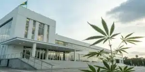 Realistic view of a Bahamian government building highlighting cannabis legal regulations in the Bahamas.