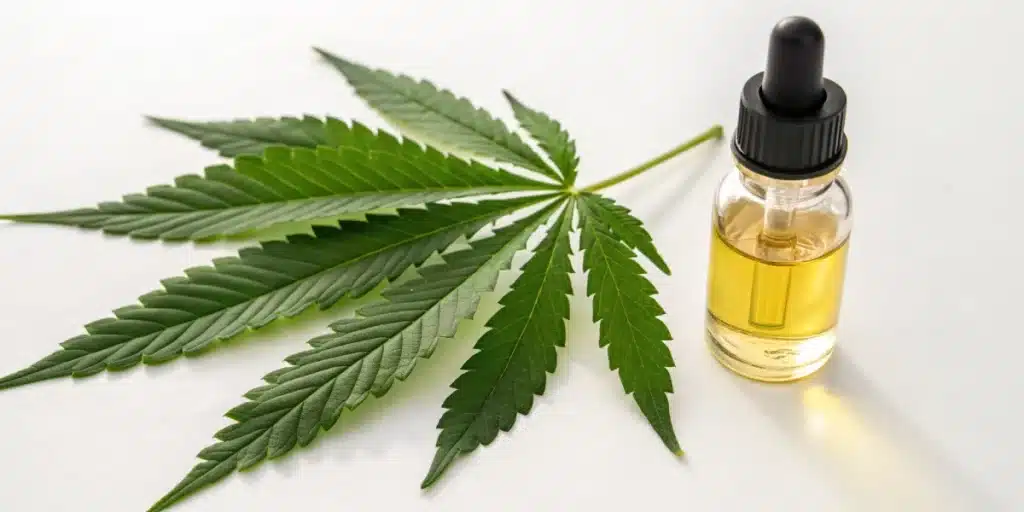 Cannabis leaf and CBD tincture bottle symbolizing does cbd suppress appetite