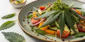 A colorful salad featuring fresh cannabis leaves, vegetables, and dressing highlighting Can You Eat Cannabis Leaves? Benefits and Preparation Tips
