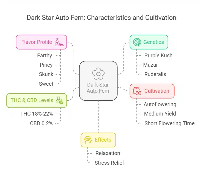 Comprehensive description of Dark Star Auto Fem, highlighting its compact structure, potent resin production, and balanced effects, with detailed annotations.
