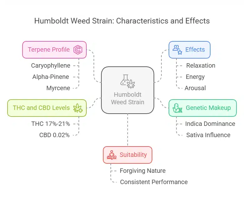 Humboldt Weed Strain diagram showing terpene profile, effects, THC/CBD levels, genetics, and suitability with colorful icons.