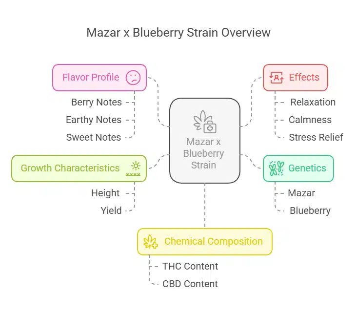 Mazar x Blueberry Strain diagram outlining flavor notes, genetics, effects, growth traits, and chemical composition.