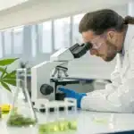 Realistic lab image testing for microbes and bacteria in cannabis using a microscope.