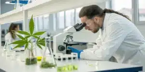 Realistic lab image testing for microbes and bacteria in cannabis using a microscope.