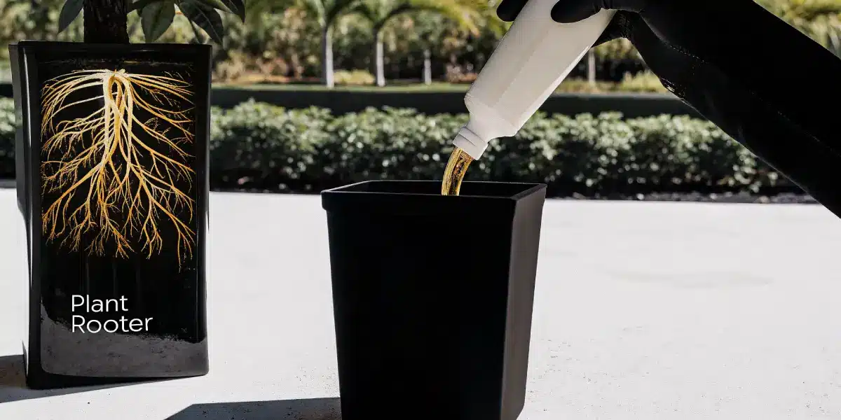 Hyper-realistic illustration of a gloved hand pouring liquid into a black pot, next to a "Plant Rooter" device with a visible root system, on a sunny patio.