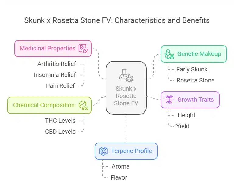Skunk x Rosetta Stone FV diagram showing medical properties, genetics, terpene profile, chemical content, and growth traits
