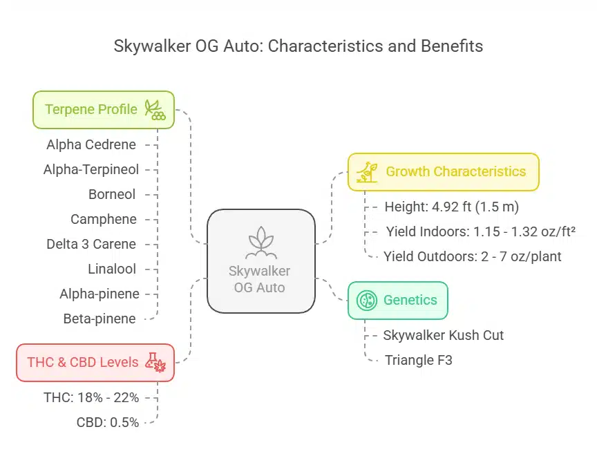 Skywalker OG Auto diagram outlining terpene profile, growth characteristics, genetics, and THC-CBD content