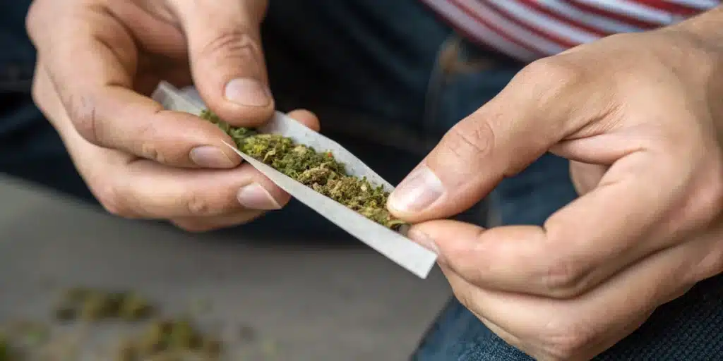 Hands rolling a cannabis joint with ground weed on a paper, showing the preparation process.