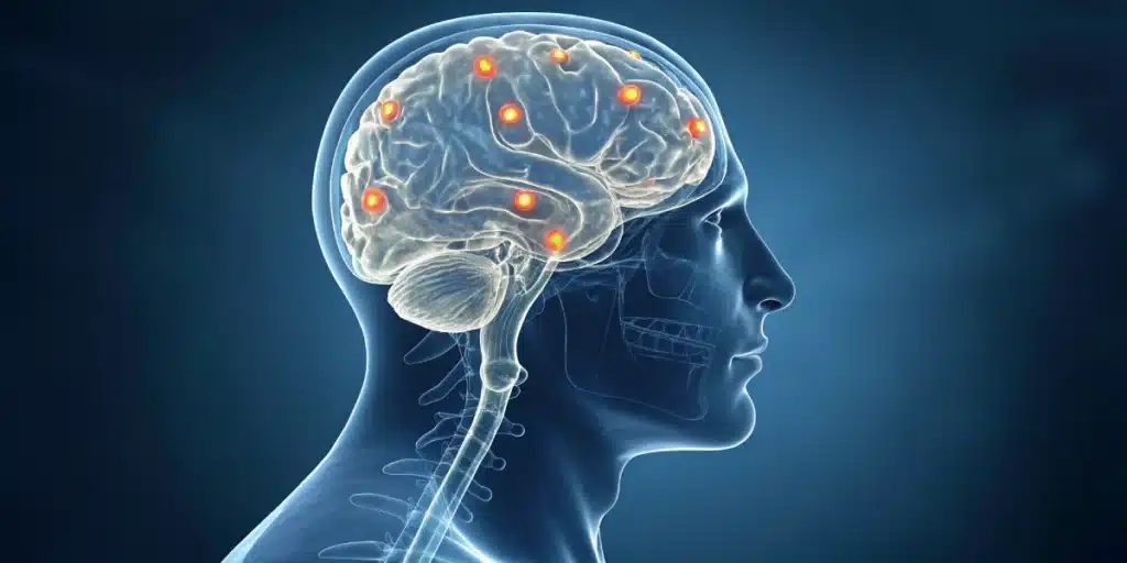 Detailed view of hippocampus showing receptor sites, does weed kills brain cells