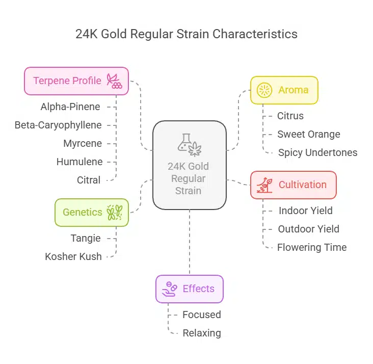 24K Gold Regular Strain terpene profile and effects chart with citrus aroma, genetic lineage, and cultivation details visually highlighted.