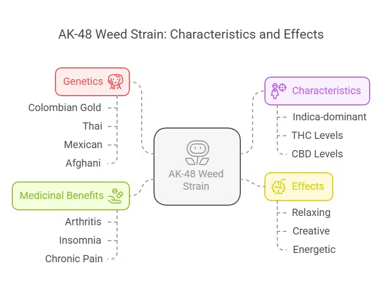 AK-48 Weed Strain infographic outlining genetic origins, effects, medical benefits, and cannabinoid characteristics.