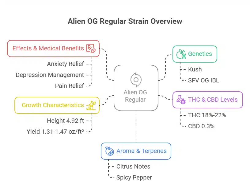 Alien OG Regular strain characteristics infographic