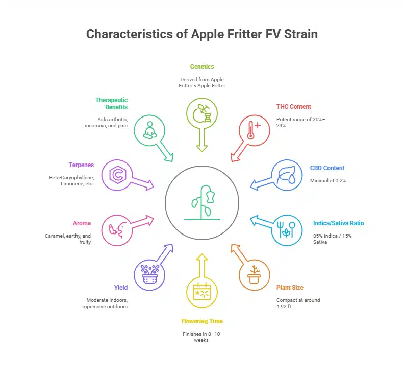 Apple Fritter FV Strain infographic detailing THC level, aroma, effects, and plant characteristics.
