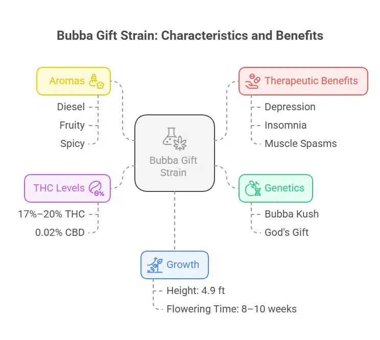 Bubba Gift Strain infographic detailing its genetics, effects, aromas, growth, and cannabinoid levels