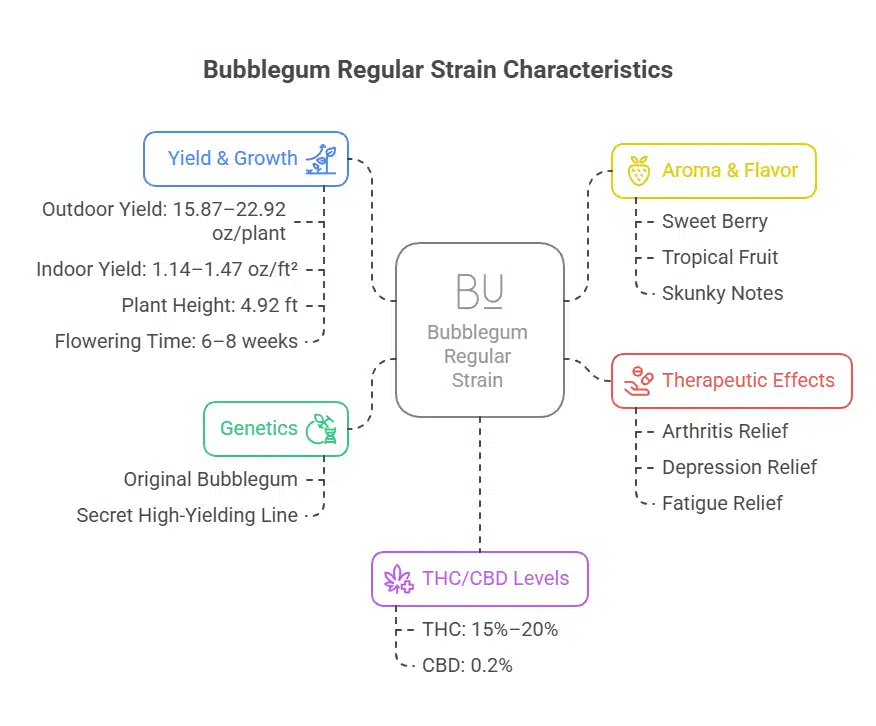 Bubblegum Cookies cannabis strain characteristics infographic with aroma, growth, and effects.