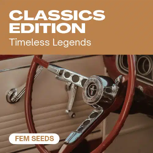 GE-classics-edition cannabis seed pack inspired by timeless legends, highlighted by a vintage steering wheel design