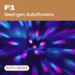 GE-f1-auto cannabis seed pack featuring next-gen autoflowers, displayed with vibrant neon digital squares in motion