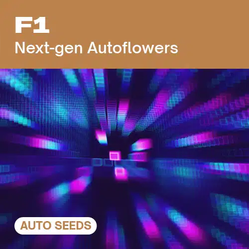 GE-f1-auto cannabis seed pack featuring next-gen autoflowers, displayed with vibrant neon digital squares in motion