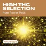 GE-high-thc-selection-auto cannabis seed pack featuring a powerful golden energy burst for potent autoflowering strains