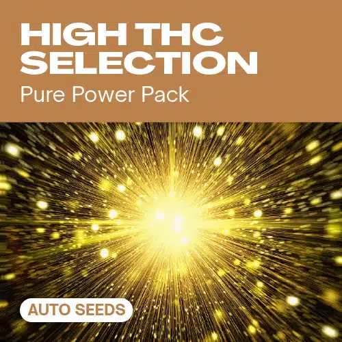 GE-high-thc-selection-auto cannabis seed pack featuring a powerful golden energy burst for potent autoflowering strains