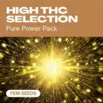 GE-high-thc-selection-fem cannabis seed pack showcasing a radiant golden explosion for high THC feminized strains