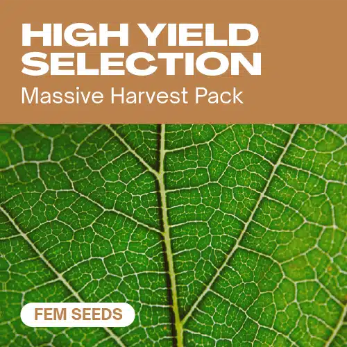 GE-high-yield-selection-fem cannabis seed pack with a detailed green leaf close-up, representing prolific feminized yields