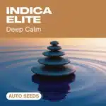 GE-indica-elite-auto cannabis seed pack offering deep calm vibes, shown with balanced stone stacks over tranquil water