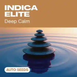 GE-indica-elite-auto cannabis seed pack offering deep calm vibes, shown with balanced stone stacks over tranquil water