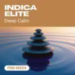GE-indica-elite-fem cannabis seed pack capturing serene energy with zen stones on calm reflective water.