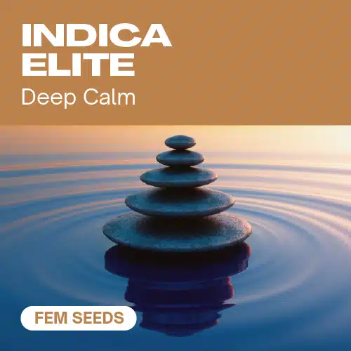 GE-indica-elite-fem cannabis seed pack capturing serene energy with zen stones on calm reflective water.