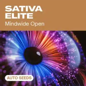 GE-sativa-elite-auto cannabis seed pack symbolizing mindwide openness, with a colorful, radiant eye effect background.