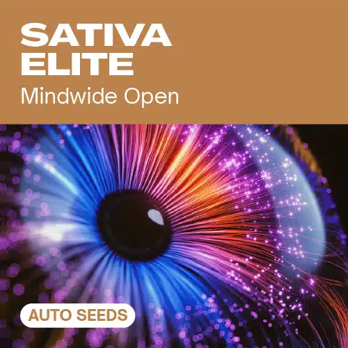 GE-sativa-elite-auto cannabis seed pack symbolizing mindwide openness, with a colorful, radiant eye effect background.
