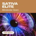 GE-sativa-elite-fem cannabis seed pack evoking expanded perception through a vibrant, psychedelic eye image.