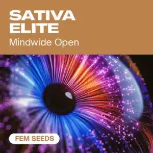 GE-sativa-elite-fem cannabis seed pack evoking expanded perception through a vibrant, psychedelic eye image.