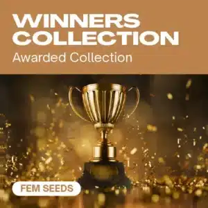 GE-winners-collection cannabis seed pack featuring an award-winning golden trophy surrounded by celebratory confetti.
