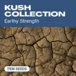 HF-kush-collection cannabis seed pack symbolizing earthy strength with cracked dry soil texture in the background