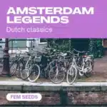 Amsterdam Legends cannabis seed pack featuring Dutch classic strains with a backdrop of bicycles near an Amsterdam canal.